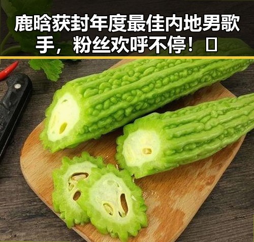 鹿晗获封年度最佳内地男歌手，粉丝欢呼不停！🎉